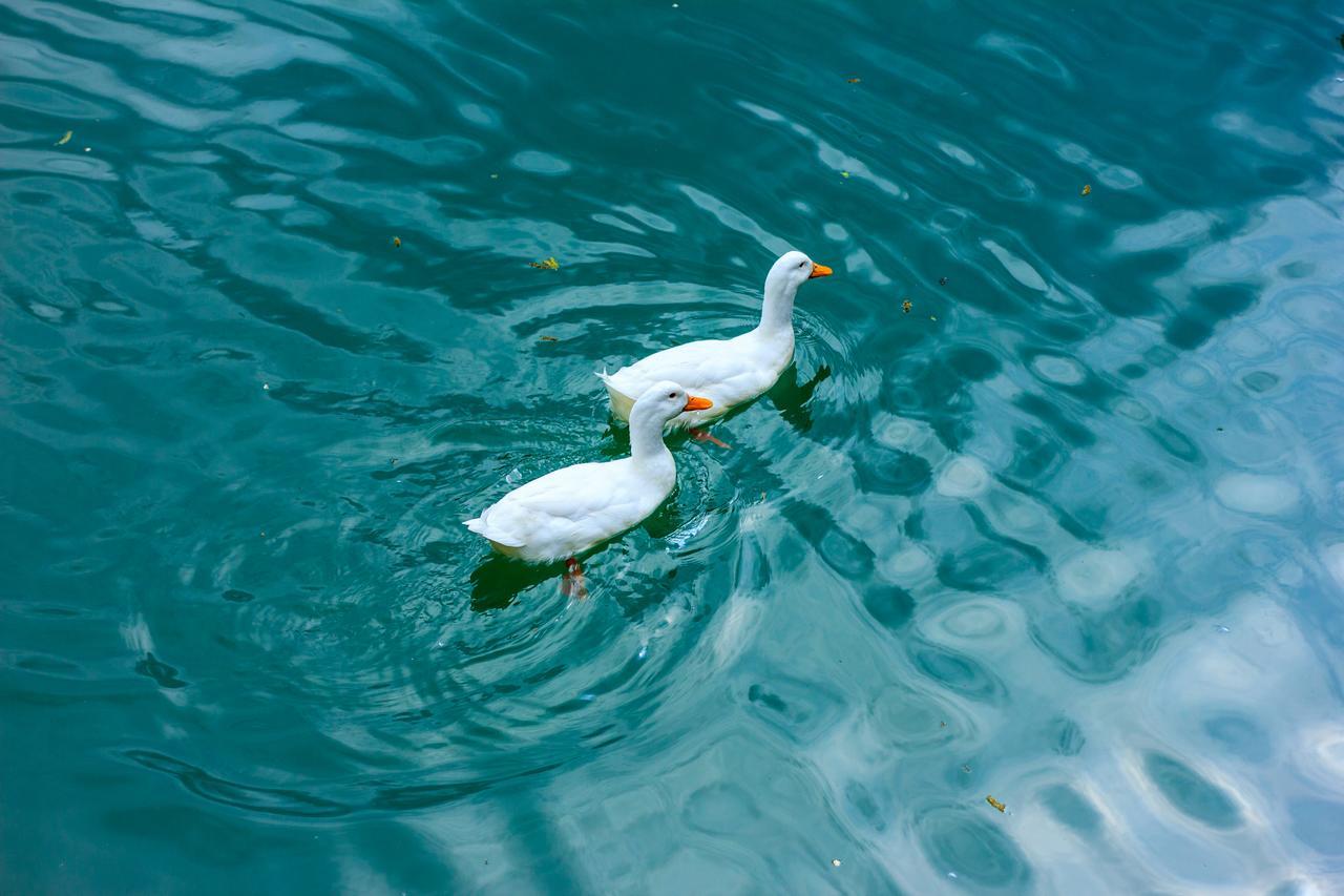 Amiran'S Lake Hotel Tbiliszi Kültér fotó