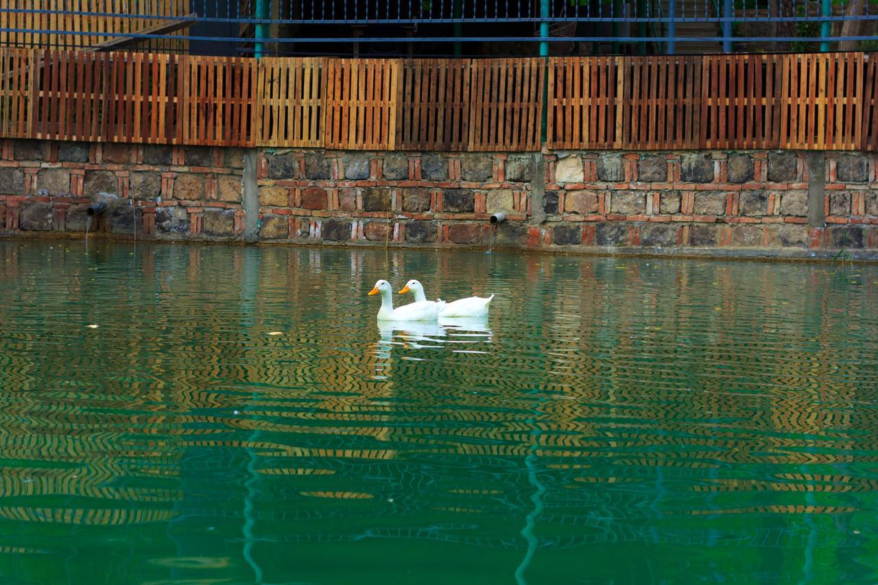 Amiran'S Lake Hotel Tbiliszi Kültér fotó